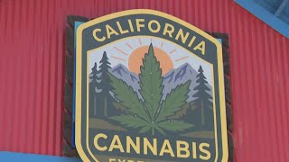 Cannabis awards take center stage at California State Fair as industry faces higher taxes