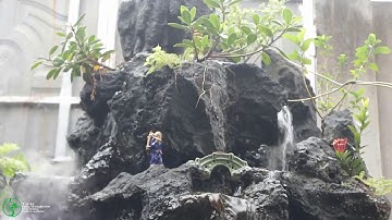 hồ koi di động kết hợp non bộ thác nước size lớn sau 10 ngày thả cá