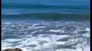 Sakinleşdirici Fon Müziği Ve Ses------Təbiətə Aid Klip