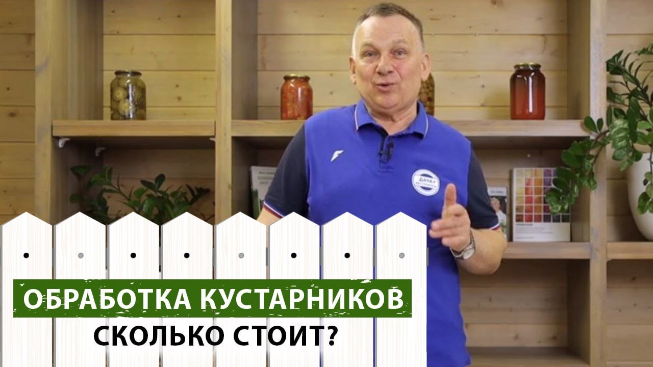 Обработка плодово-ягодных кустарников. Сколько стоит опрыскать 1 куст ...