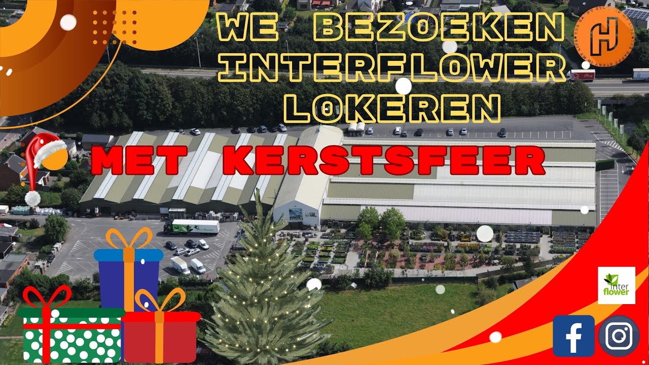 #46 We bezoeken Interflower Lokeren met kerstsfeer 29/10/2023 - YouTube