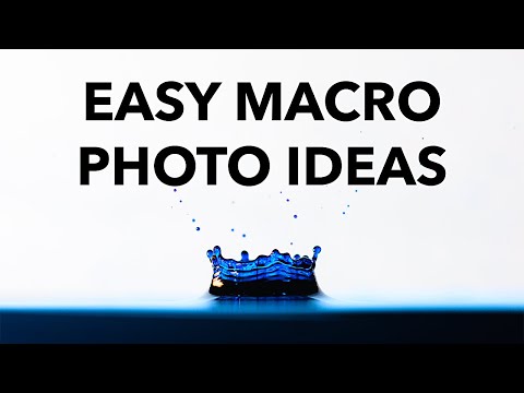 Macro Photography Ideas You Can Do At Home