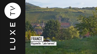 Riquewihr: Late harvest