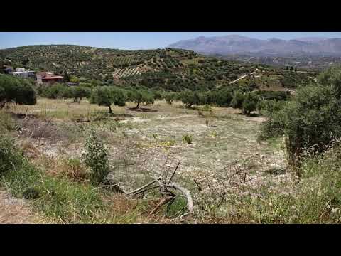 Πωλείται οικόπεδο Βασιλειές