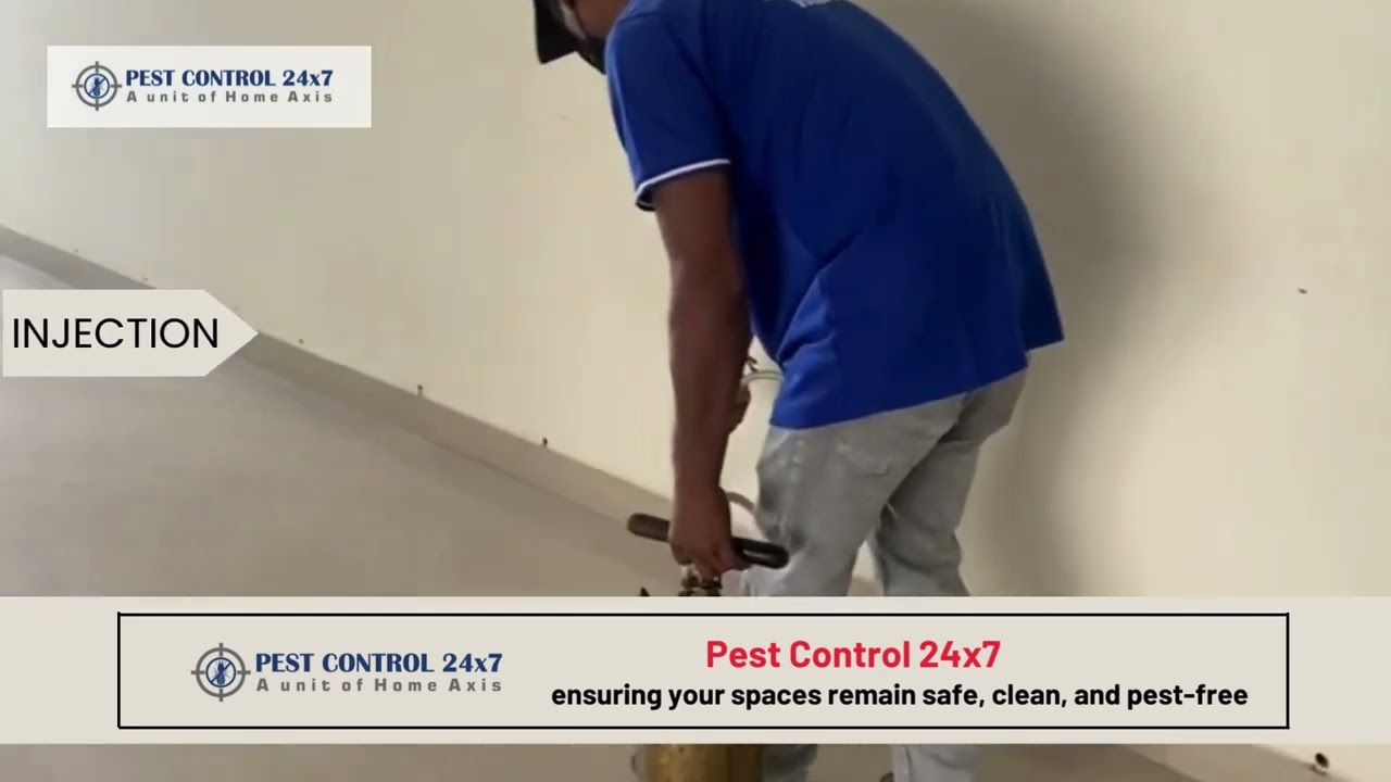PEST CONTROL VIDEO