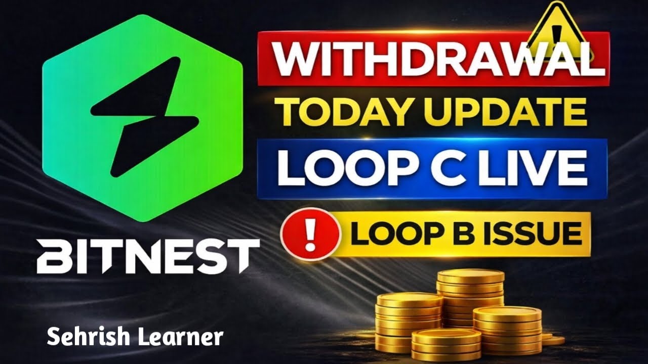 BitNest Withdrawal Today Update | Loop C Live | Loop B Issue Explained