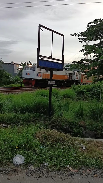 😱 Kereta Api Lewat dari Dua Arah Sekaligus! Deg-degan Lihatnya 🚆🚆💨