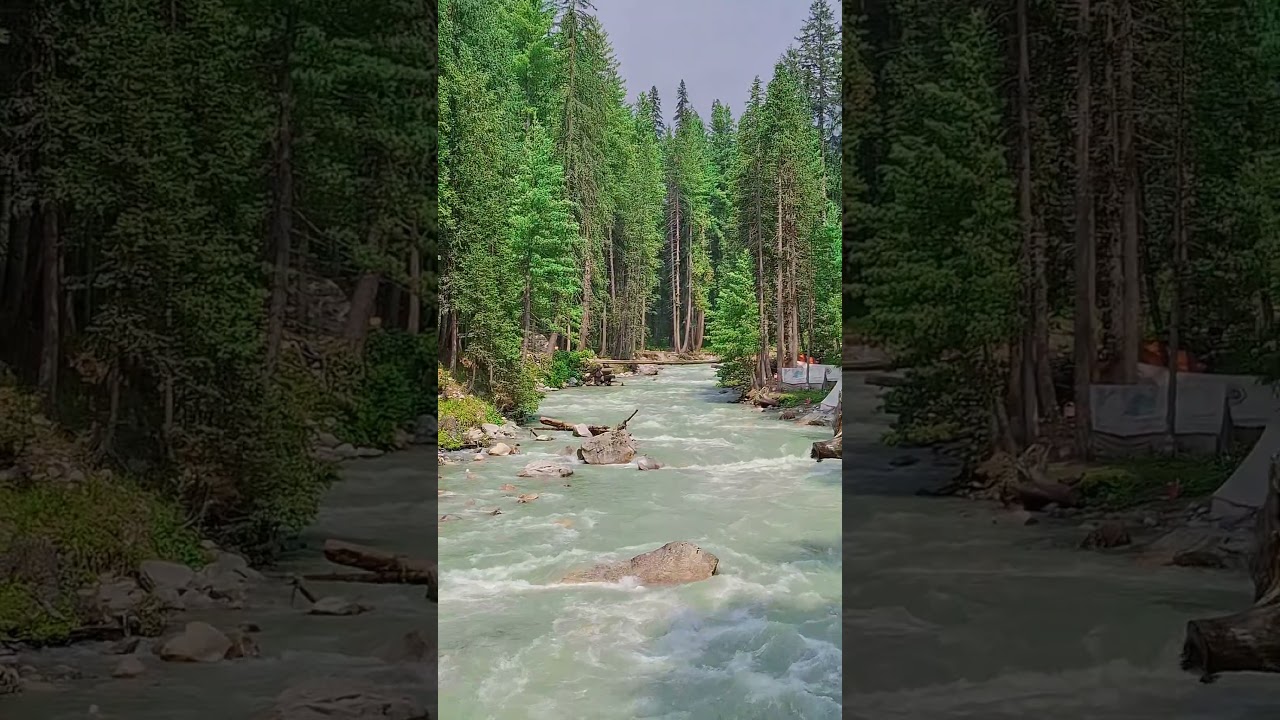 Emerald Green Panjkora River 💚 Speedy Water Flow Through Forest & Snowy Mountains | KPK Pakistan