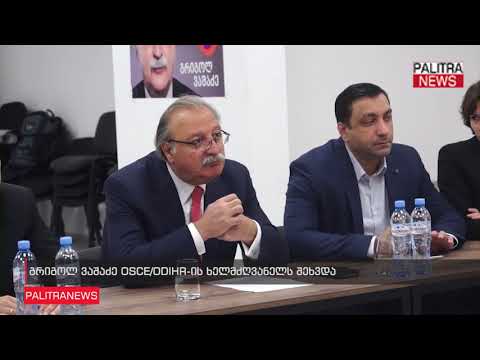 გრიგოლ ვაშაძე OSCE/ODIHR-ის ხელმძღვანელს შეხვდა