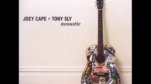 Joey Cape And Tony Sly - Exit