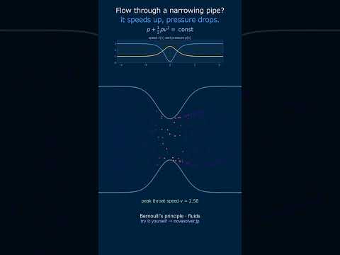 Flow speeds up in narrow spots — Bernoulli's principle #Shorts