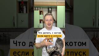 Что делать с котом когда уезжаете в отпуск | Лайфхаки от Нечетова | nechetoff | ПОДПИШИСЬ⬇️🔔 #short