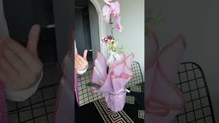 Hediye Gelen Orkidenin Bakımı Nasıl Olmalıdır? Hangi Konumda Kalmalıdır?