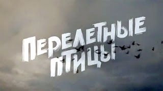 Перелетные Птицы (трейлер на НТВ_1) Перелетные Птицы (трейлер на НТВ_1)