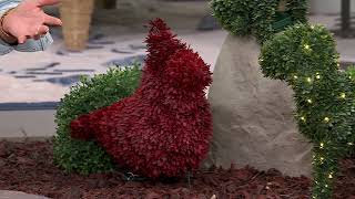 Marigold 17' Animal Topiary with Battery Operated LED Lights on QVC