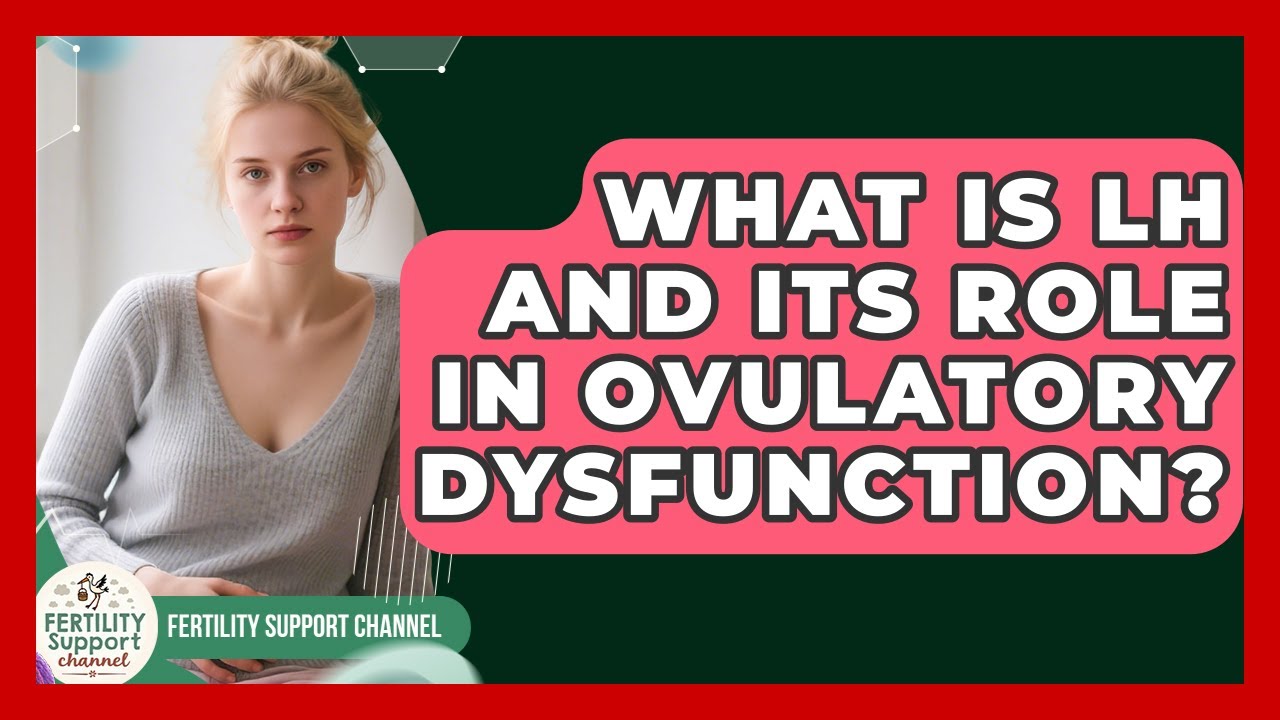 What Is LH And Its Role In Ovulatory Dysfunction? - Fertility Support Channel