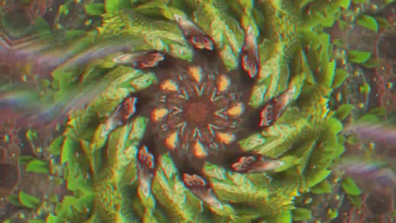 Starlab & Shivatree - In The Jungle