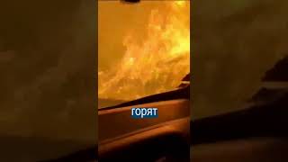 Европа в огне: видео апокалипсиса из Португалии