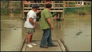 Gator 911--Gator Country By Erik Hastings