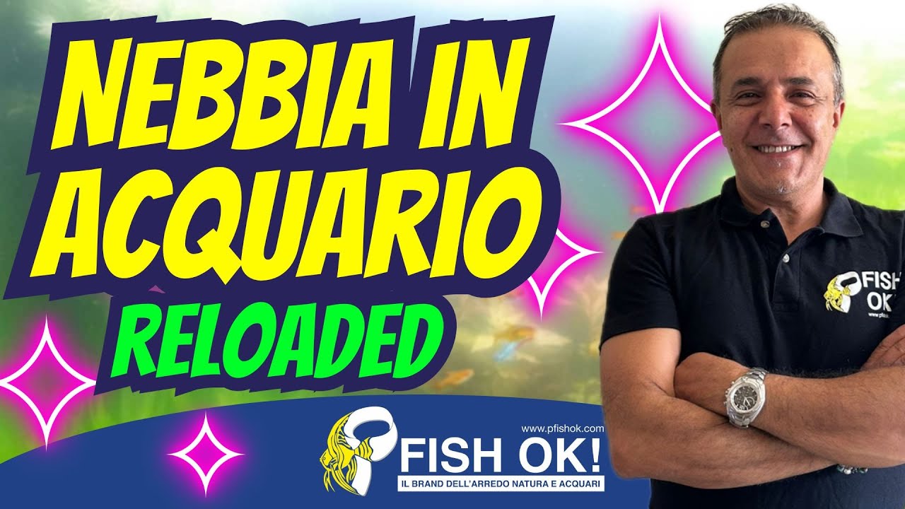 Nebbia in acquario reloaded | Pillole di Acquarioliogia Fish Ok! - YouTube