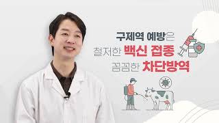 💊 올바른 구제역 백신 접종 요령 안내