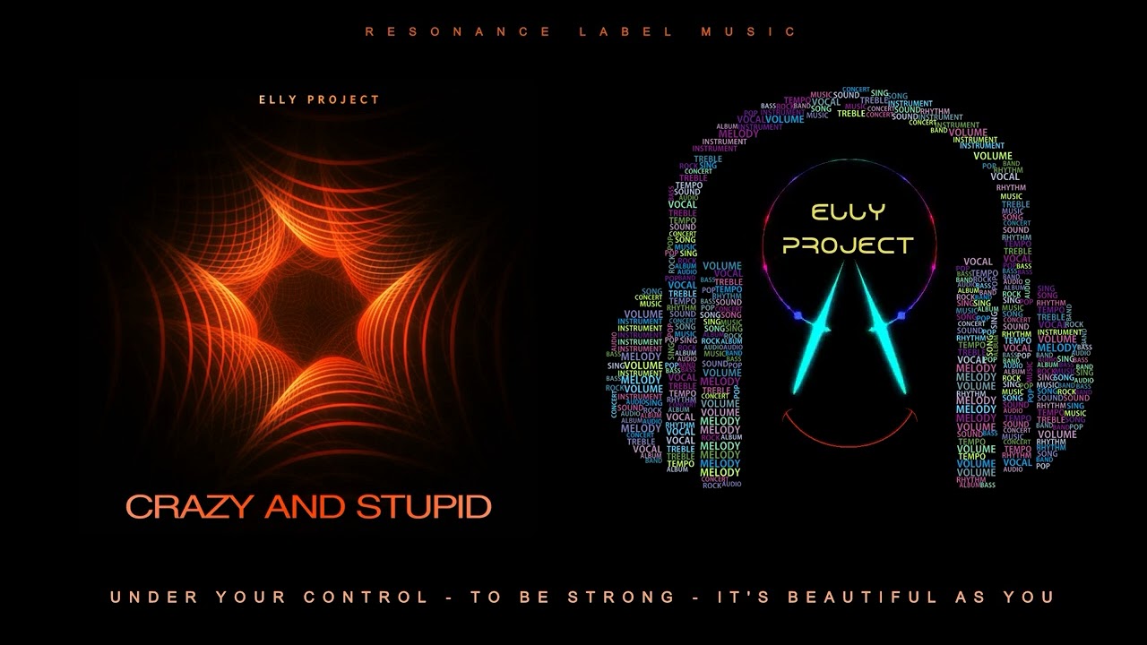 CRAZY AND STUPID - ELLY PROJECT