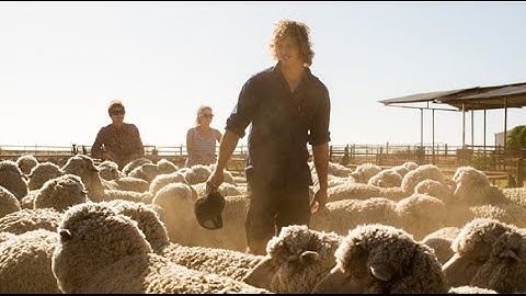 Nat Fyfe celebrates the Fibre of Football