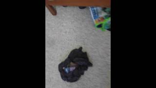 Game commercial with small fry skylander
