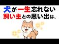 【犬の厳選雑学】犬が永遠に覚えている飼い主との思い出１０選