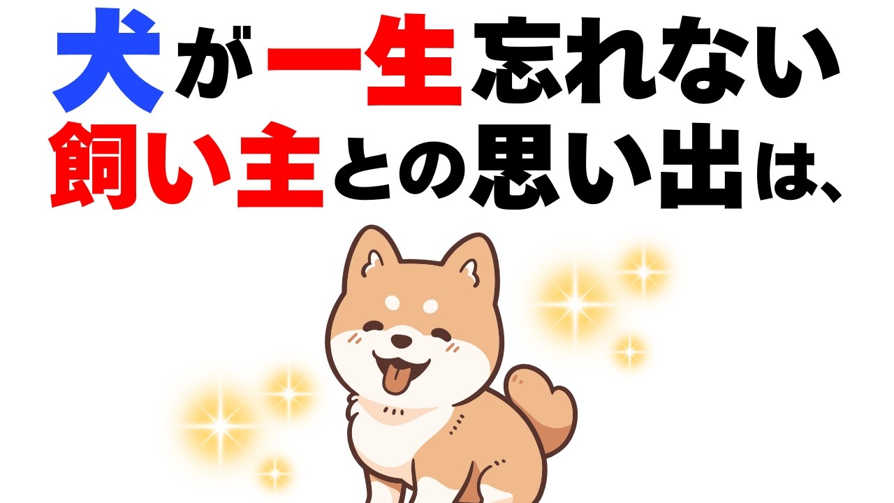 【犬の厳選雑学】犬が永遠に覚えている飼い主との思い出１０選