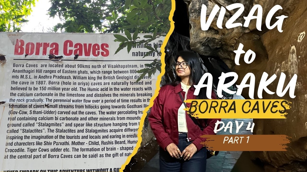 VIZAG TO ARAKU VALLY | VIZAG ROAD TRIP | DAY 4 part 1 | BORRA CAVES | HALDIA TO VIZAG| VISAKHAPATNAM