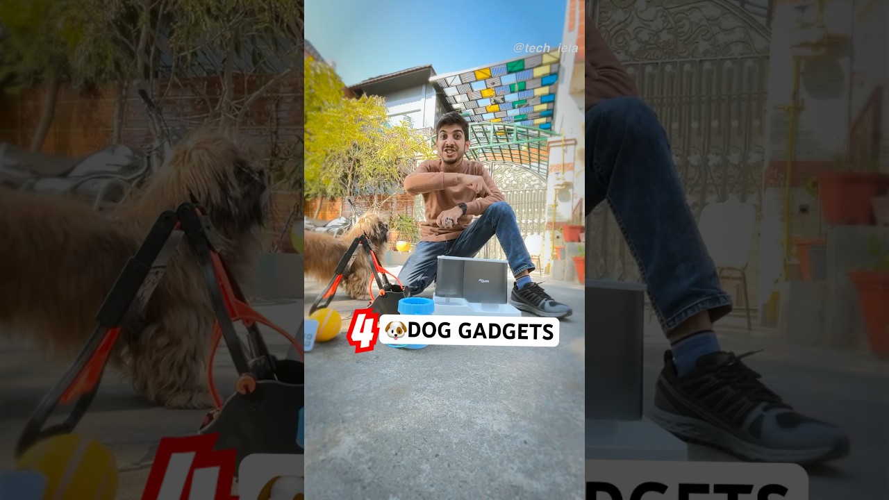 🐕 Dog Gadgets every Dog Owner Should Have 💯👌🏻 #doglover #dogowner #amazonfinds #gadgets