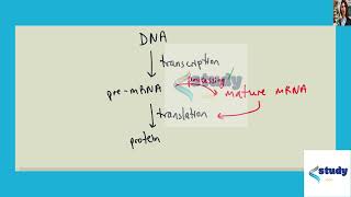 [Biology] Which pre-mRNA processing step is important for initiating translation? a. poly-A tail b.