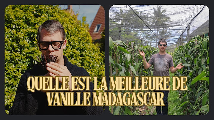 Quelle est la meilleure de vanille Madagascar -  Région de Mananara Nord et Maroantsetra
