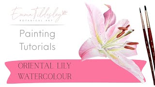Oriental Lily in Watercolour – Free Step-by-Step Painting Tutorial