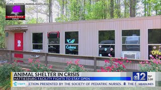 Hattiesburg animal shelter needs help to stay open