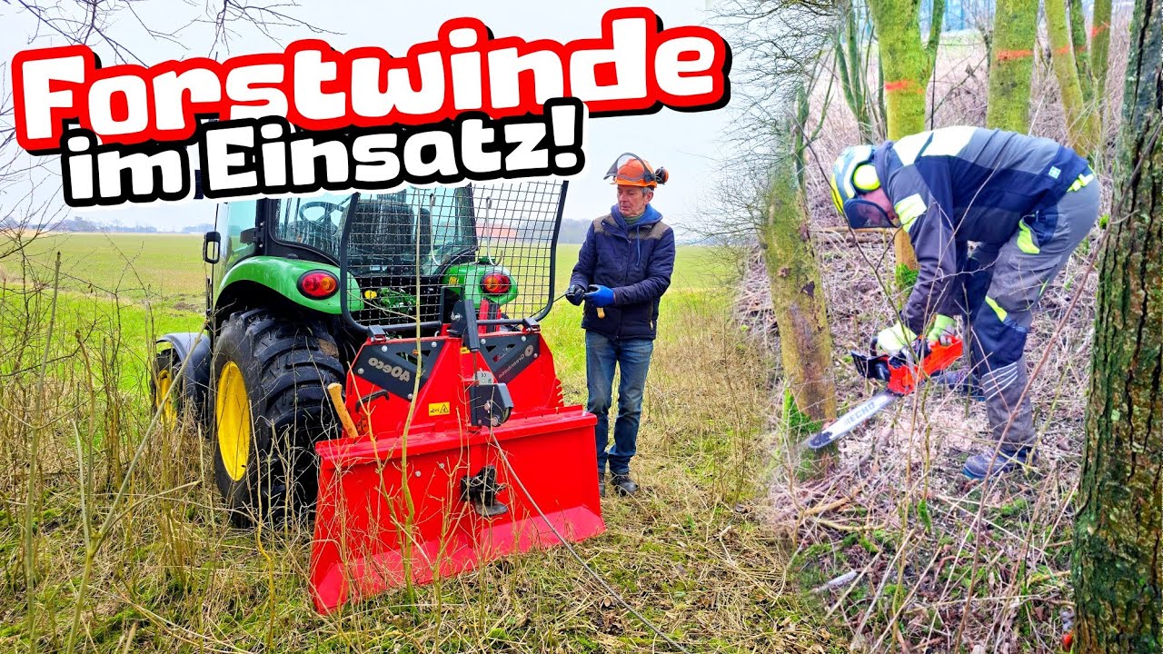 SEILWINDE im EINSATZ! | Bäume fällen mit technischer Unterstützung | Mr. Moto
