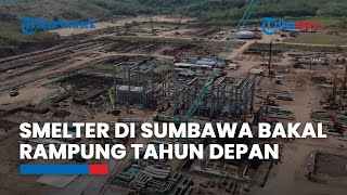 Progres Pembangunan Capai 51,6 Persen, Smelter Amman Mineral di Sumbawa Bakal Rampung Tahun Depan