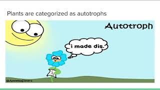 EDSE 307 (Assignment 2)