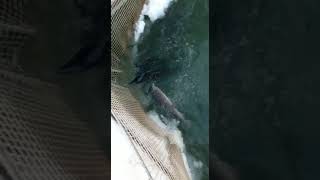 IMG 5501