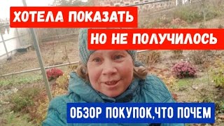 #719ХОТЕЛА ПОКАЗАТЬ,НО НЕ ПОЛУЧИЛОСЬ/ОБЗОР ПОКУПОК,ЧТО ПОЧЕМ