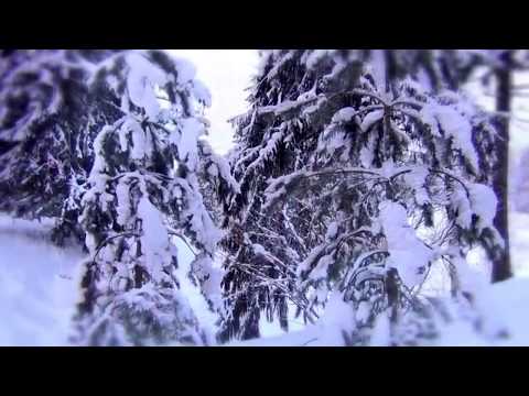 Романс "Зимние аллеи" на стихи А.А. Фета
