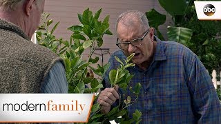 Jay Apologizes to Dede – Modern Family