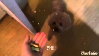 The Snack Makes Kiki Move