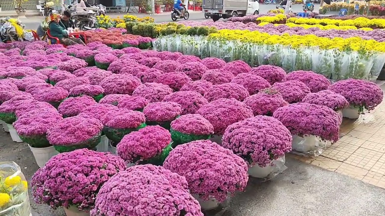 Chợ Tết Bờ kè Thị Xã Tân Châu An Giang