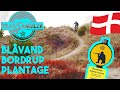 Blavand Bordrup Plantage | Mountianbiken in Dänemark zu steil um zu fahren?