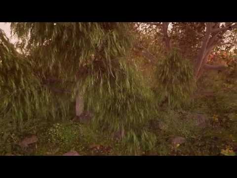 willow wilds