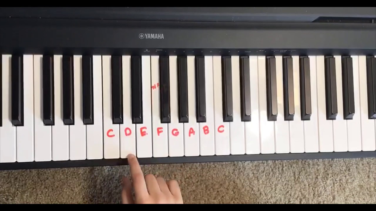 Bingo Nursery Rhymes Piano - YouTube