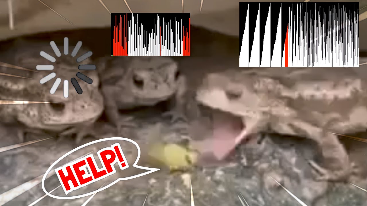 Crazy Frog - Jingle Bells (Official Video)