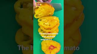#foodfacts #foodfacts #slicing #asmr #kidshealth #didyouknowfacts #tomatoes #shorts